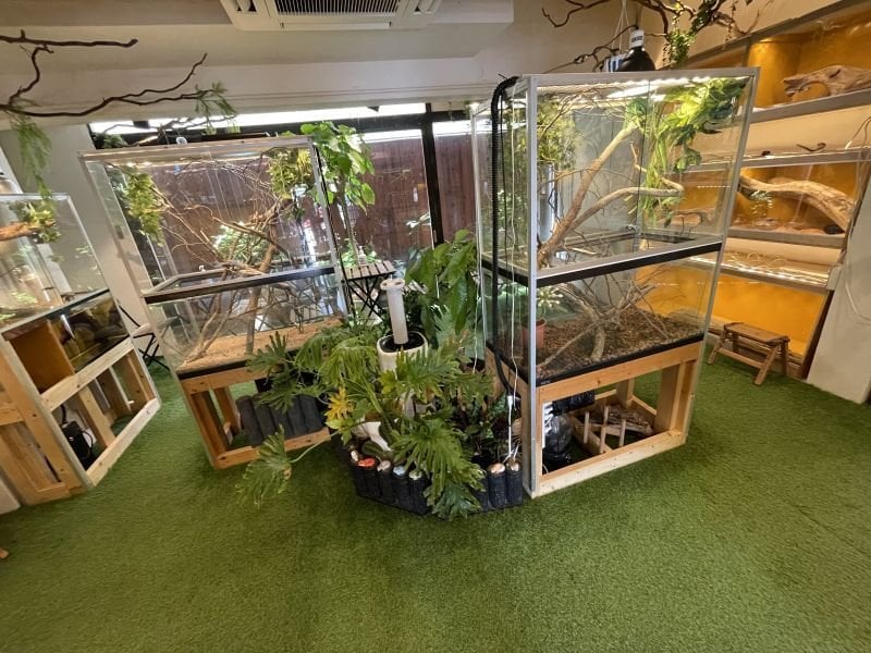 Funny Crearures Forest（嵐山）