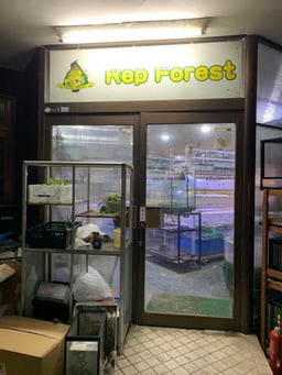 REP FOREST（レップフォレスト）の画像1