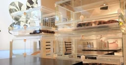 ヘビカフェ -cafe&snake- 東京スネークセンターの画像3