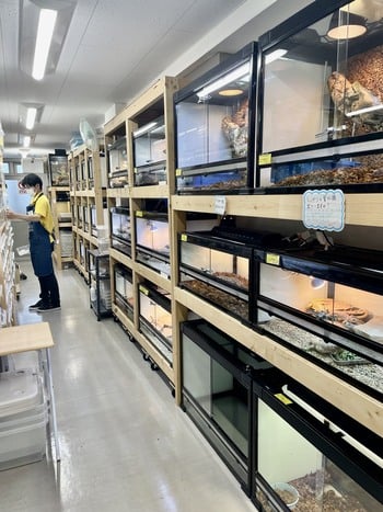 爬虫類倶楽部 中野店