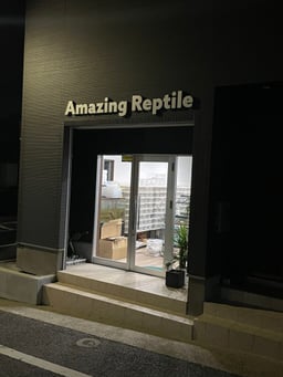 Amazing Reptileの画像1