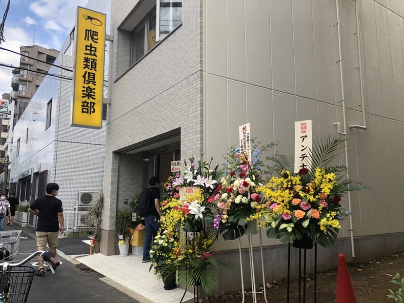 爬虫類倶楽部 中野店