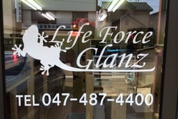 Life Force（ライフフォース）の画像1
