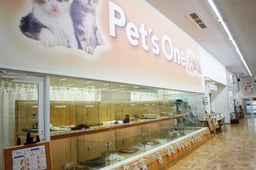 ペッツワン佐倉店の画像2