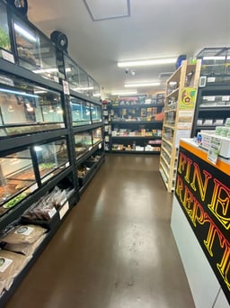 FINEREPTILES（ファインレプタイルズ）の画像2