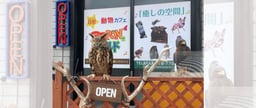 アニPONワールドの画像1