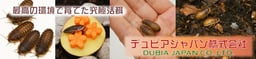 デュビアジャパン株式会社の画像1