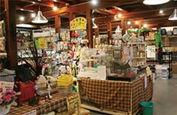熱帯倶楽部 東川口本店の画像2