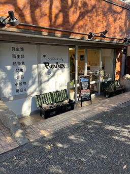 Revier（レヴィア）の画像1