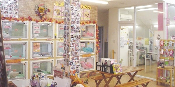 ひごペット東淀川店