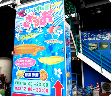 リトル水族館ざうお