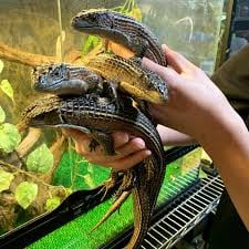MKファームの画像1