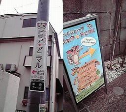 ピュア☆アニマルの画像3