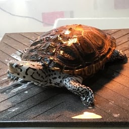 レプティスタジオの画像1