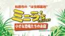 爬虫類カフェ ROCK STAR 松原店（旧：ミニラズファクトリー）