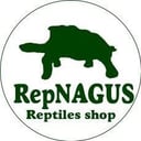 RepNAGUS（レプナグス）